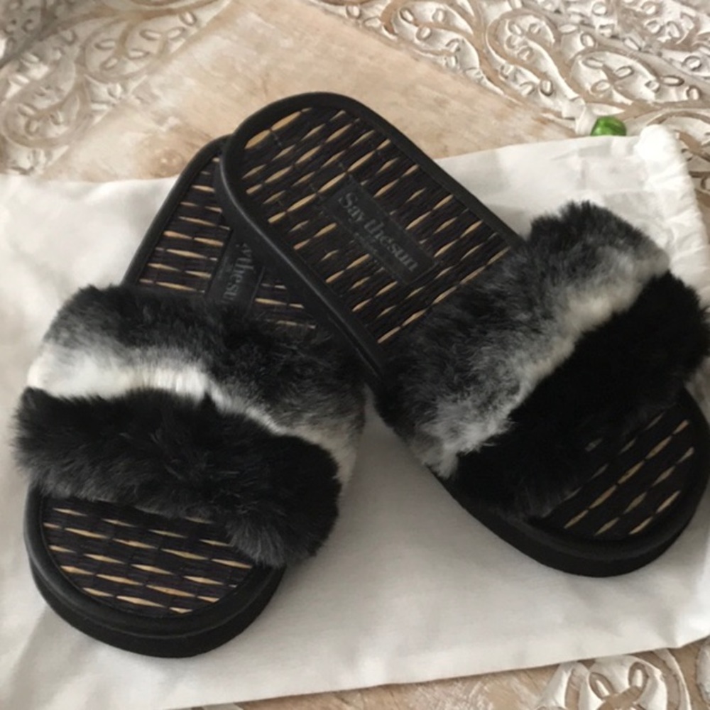 Fuzzy slides by say the sun.